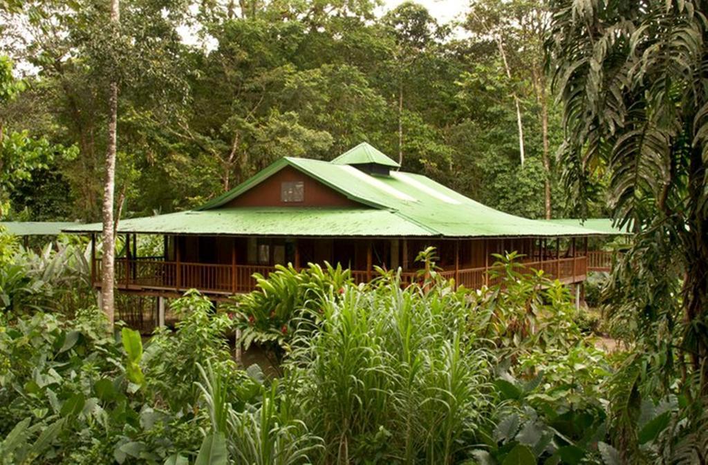 Selva Verde Lodge Sarapiquí Rom bilde